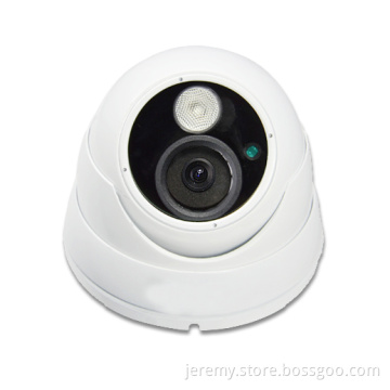 720p Megapixel IP Dome Camera with D1
